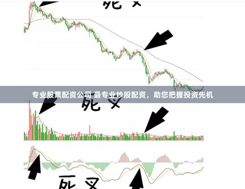 专业股票配资公司 最专业炒股配资，助您把握投资先机