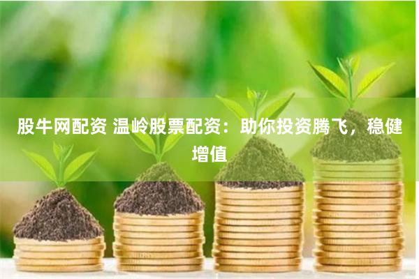 股牛网配资 温岭股票配资：助你投资腾飞，稳健增值