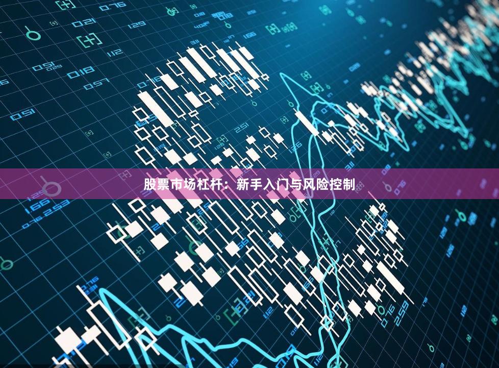 股票市场杠杆:新手入门与风险控制