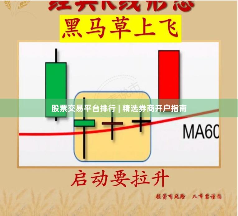 股票交易平台排行 | 精选券商开户指南