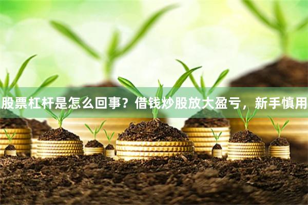 股票杠杆是怎么回事？借钱炒股放大盈亏，新手慎用